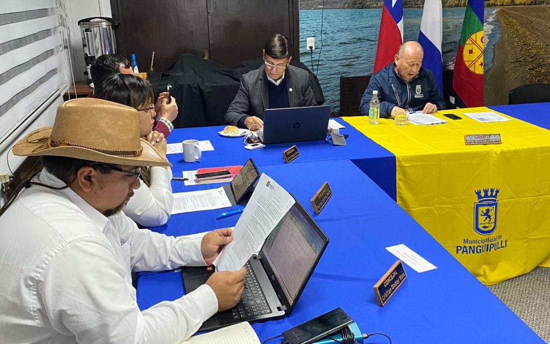 Concejo Municipal escuchó en terreno las inquietudes de la Junta de Vecinos Entre Lagos de Coñaripe