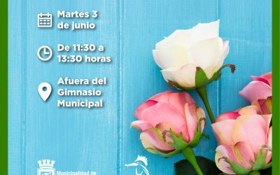 Ven por tus esquejes de rosas al Gimnasio Municipal de Panguipulli