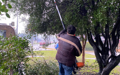 Municipalidad de Panguipulli mejora la seguridad vial urbana con intensas labores de tránsito