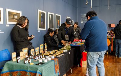 Panguipulli celebró su primera Expo Fungi: un viaje mágico al universo de los hongos