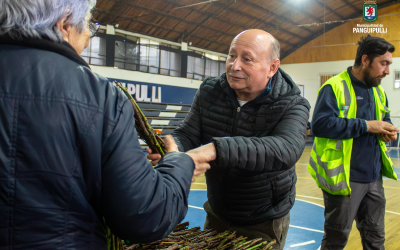 Alcalde Valdivia encabezó entrega de esquejes de rosas en el Gimnasio Municipal de Panguipulli