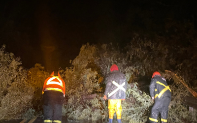 Balance de emergencia: municipio atendió múltiples situaciones por evento meteorológico en la comuna