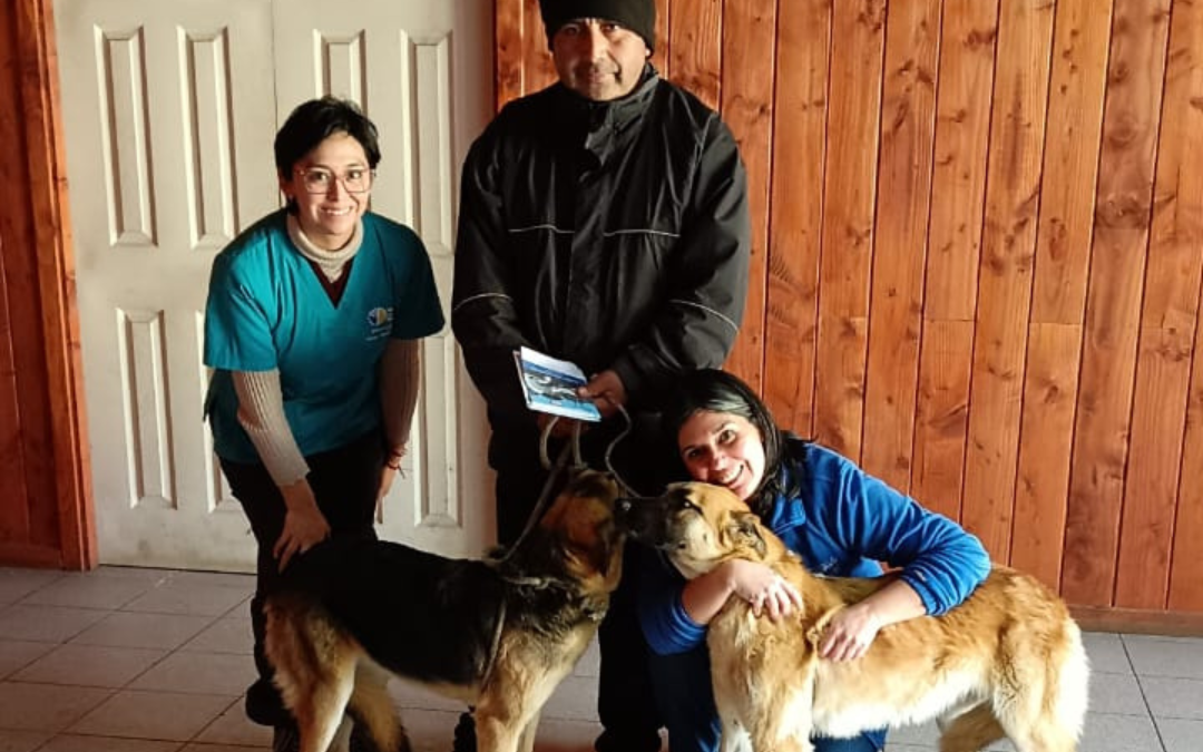 Operativo veterinario en Liquiñe: más salud y cuidado para nuestras mascotas