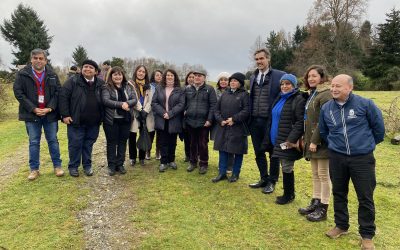 Subsecretario de Redes Asistenciales reconoce avances del municipio de Panguipulli en proyecto del futuro Hospital Intercultural Público