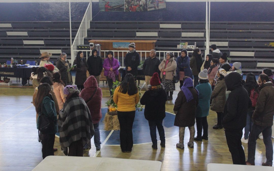 Trafkintu en Panguipulli: encuentro de saberes, intercambio y comunidad