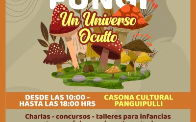 Se viene la primera Expo Fungi en Panguipulli: un universo oculto te espera