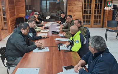 COGRID extraordinario por temporal de este fin de semana en Panguipulli
