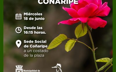 ¡Asiste a la entrega de esquejes de rosas en Coñaripe!