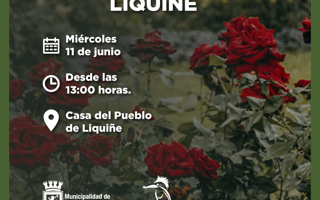 ¡Te invitamos a participar de la próxima entrega de esquejes de rosas en Liquiñe!