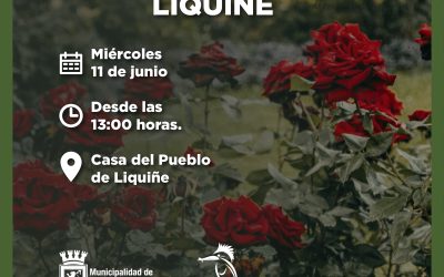 ¡Te invitamos a participar de la próxima entrega de esquejes de rosas en Liquiñe!
