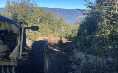 Municipio reparó casi 45 kilómetros de caminos en Coñaripe, Traitraico, Lloncura, Pucura y Liquiñe