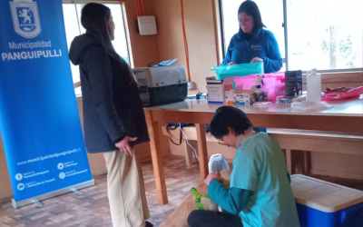 Veterinaria Municipal realizó exitoso operativo en terreno en Río Hueico