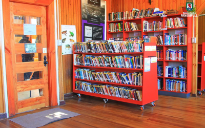 Biblioteca Municipal de Panguipulli renueva su colección con importante proyecto adjudicado