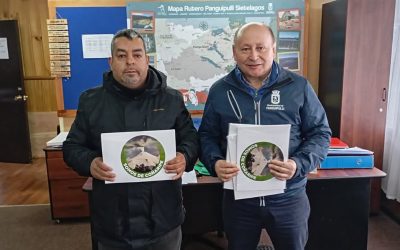 Municipio entrega logos identificatorios a grupo de fleteros de Coñaripe