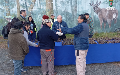 Vecinas y vecinos felices: municipalidad entregó esquejes de rosas a comunidad de Neltume
