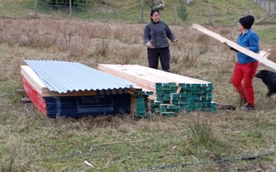 Municipalidad entrega vivienda de emergencia, ropa de cama y kit sanitario a familia afectada en Llongahue