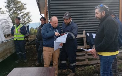 Alcalde Valdivia entrega concentrado en Pucura Alto Mili Mili a pequeños productores afectados por el invierno