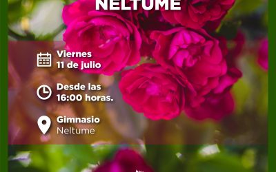 Mañana se realizará entrega de esquejes de rosas en Neltume