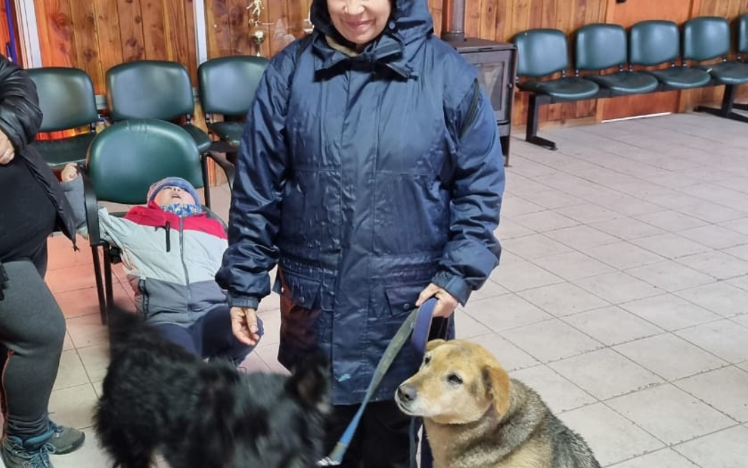 Acción en terreno: Veterinaria Municipal realizó nuevo operativo en Coñaripe