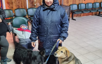 Acción en terreno: Veterinaria Municipal realizó nuevo operativo en Coñaripe