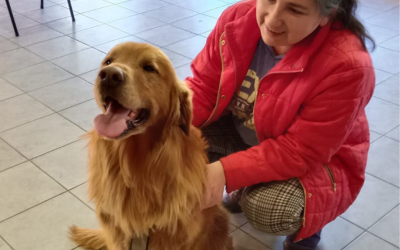 Exitoso trabajo en terreno: Veterinaria Municipal realizó nuevo operativo en Choshuenco