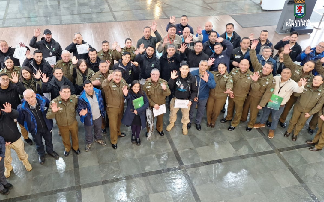 Patrullas Mixtas OS14: inspectores municipales de Panguipulli se capacitan junto a Carabineros en Valdivia