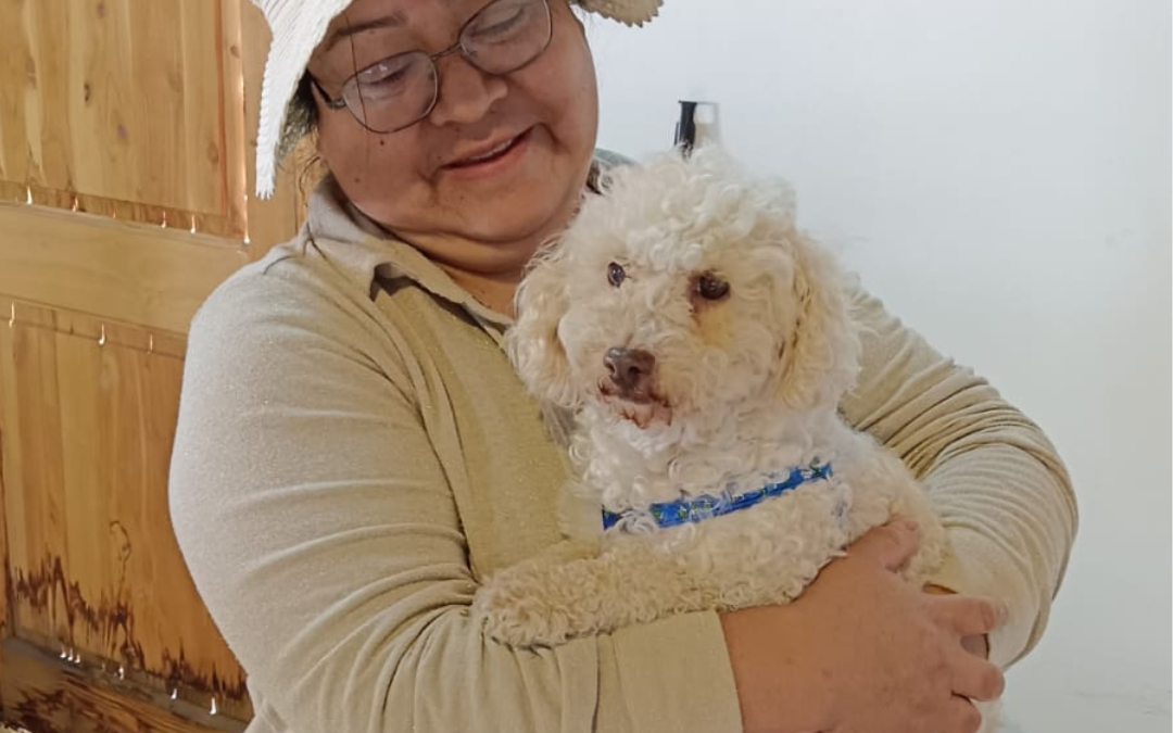 Punahue: 33 mascotas recibieron atención en terreno en jornada de salud animal de la Veterinaria Municipal