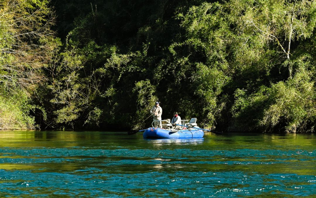 Recordatorio sobre período de veda de pesca recreativa en la comuna de Panguipulli