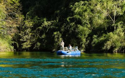 Recordatorio sobre período de veda de pesca recreativa en la comuna de Panguipulli
