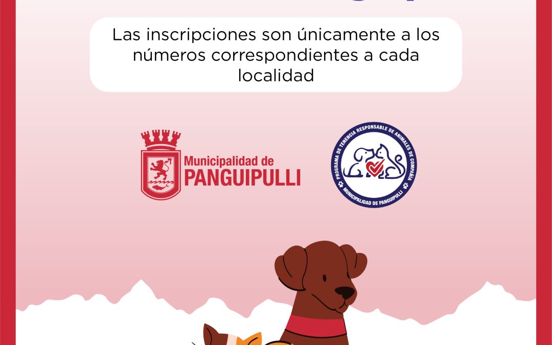 Revisa aquí el calendario de esterilizaciones en terreno de la Veterinaria Municipal