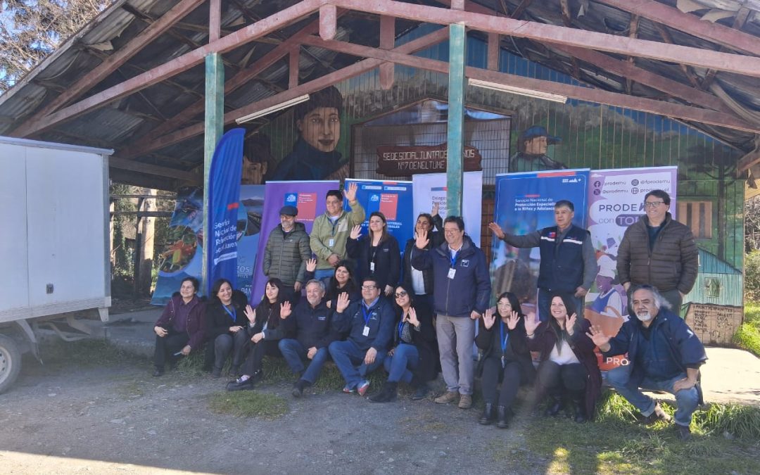 Gobierno en Terreno y conmemoración del Día de la Mujer Indígena en Neltume