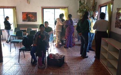 Operativos de esterilización en Panguipulli: alcalde Valdivia estuvo en Puerto Fuy junto a la Veterinaria Municipal