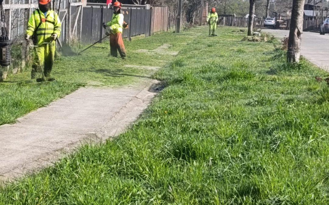 Municipalidad de Panguipulli refuerza trabajos en Melefquén por Fiestas Patrias