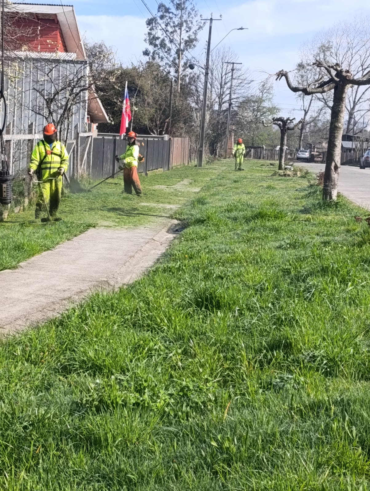 WhatsApp Image 2025-09-11 at 21.46.37