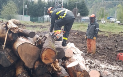Vecinos de Choshuenco recibirán leña gracias a gestión colaborativa