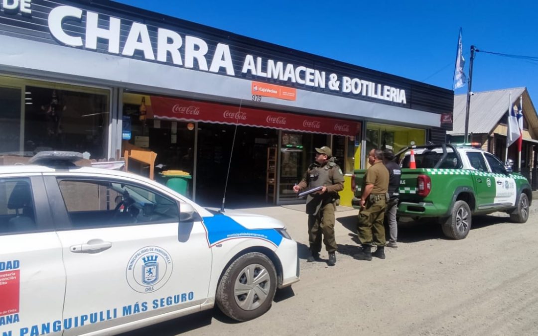 Seguridad Ciudadana y Carabineros refuerzan trabajo preventivo en locales comerciales de Neltume y Puerto Fuy