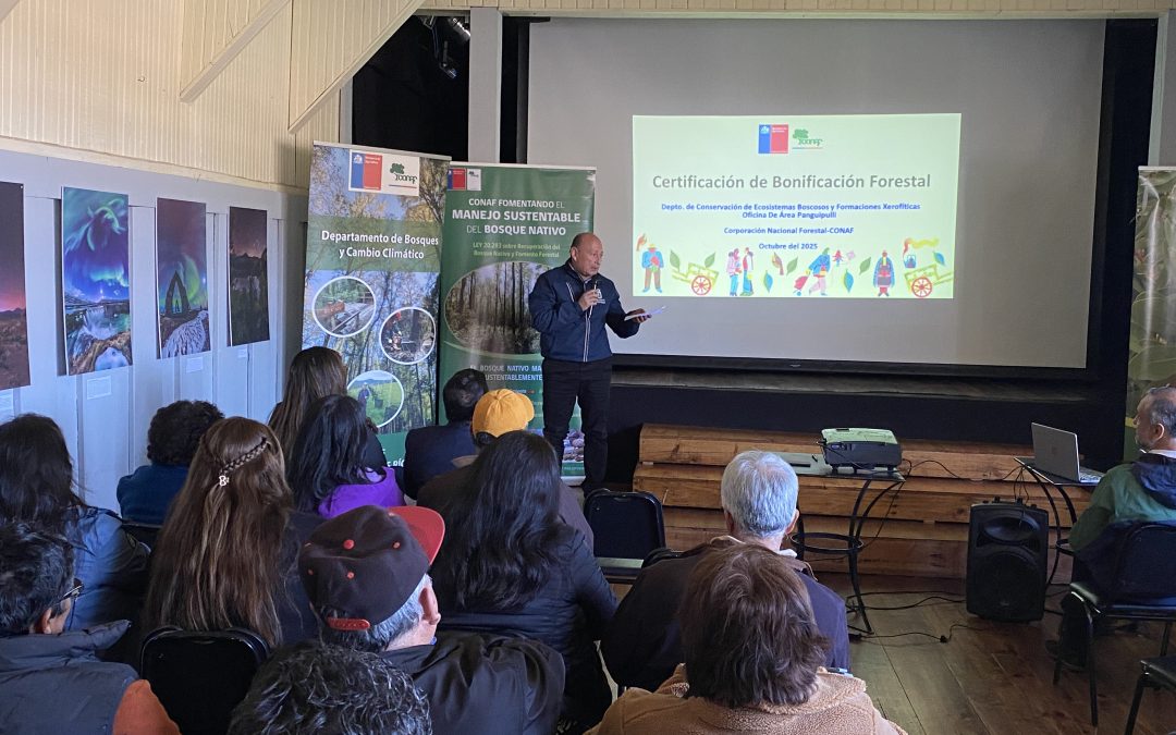 Reconocen a 37 vecinos y vecinas por manejo sustentable del bosque nativo en Panguipulli