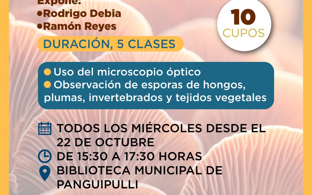 Explora el mundo invisible: Biblioteca Municipal realizará taller de microscopía básica
