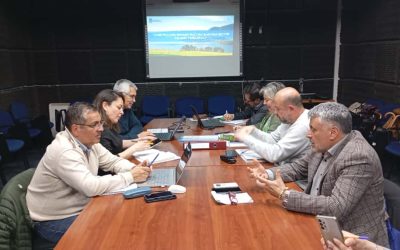 Alcalde Valdivia presentó proyecto de infraestructura sanitaria para Palguín ante equipos técnicos del Gobierno Regional y Suralis