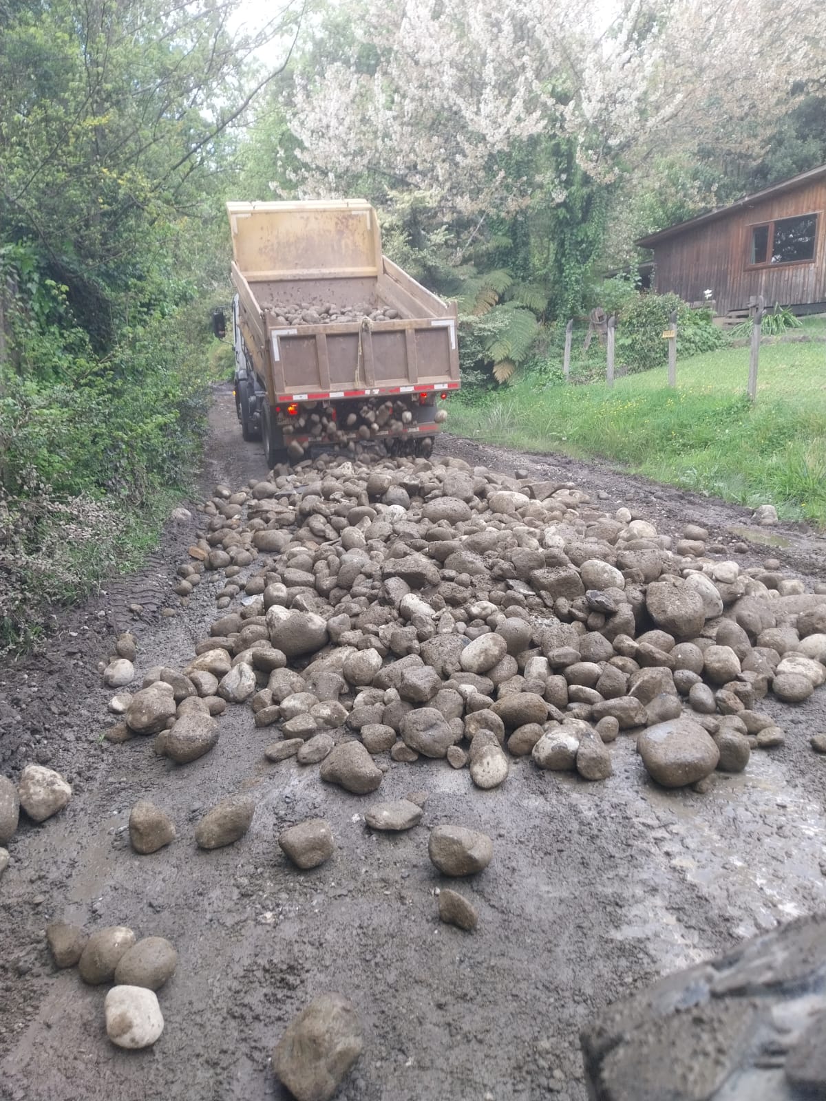 WhatsApp Image 2025-10-16 at 12.44.47