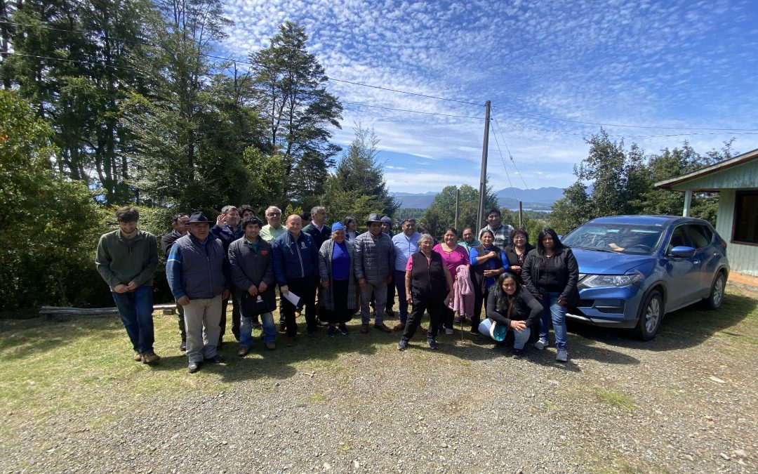 Municipalidad de Panguipulli, CONAF y Bosque Modelo impulsan restauración de humedales en Panguipulli