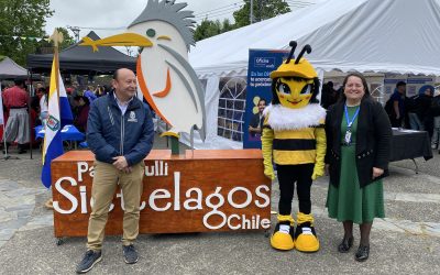 Empleo, educación y oportunidades marcaron la jornada de la 3ra Feria Laboral, Vocacional y de Emprendimiento Panguipulli Sietelagos