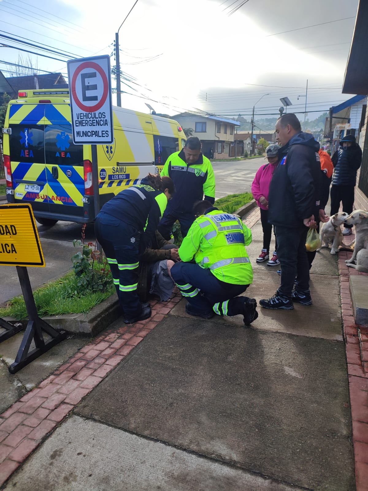 WhatsApp Image 2025-10-24 at 19.09.04