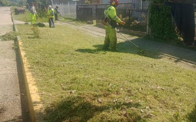 Corte de pasto, poda y retiro de escombros: municipio refuerza limpieza y mantenimiento en Melefquén