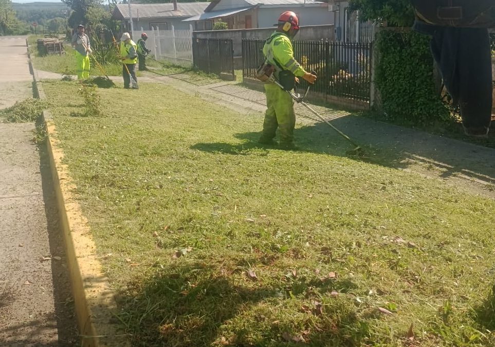 Corte de pasto, poda y retiro de escombros: municipio refuerza limpieza y mantenimiento en Melefquén