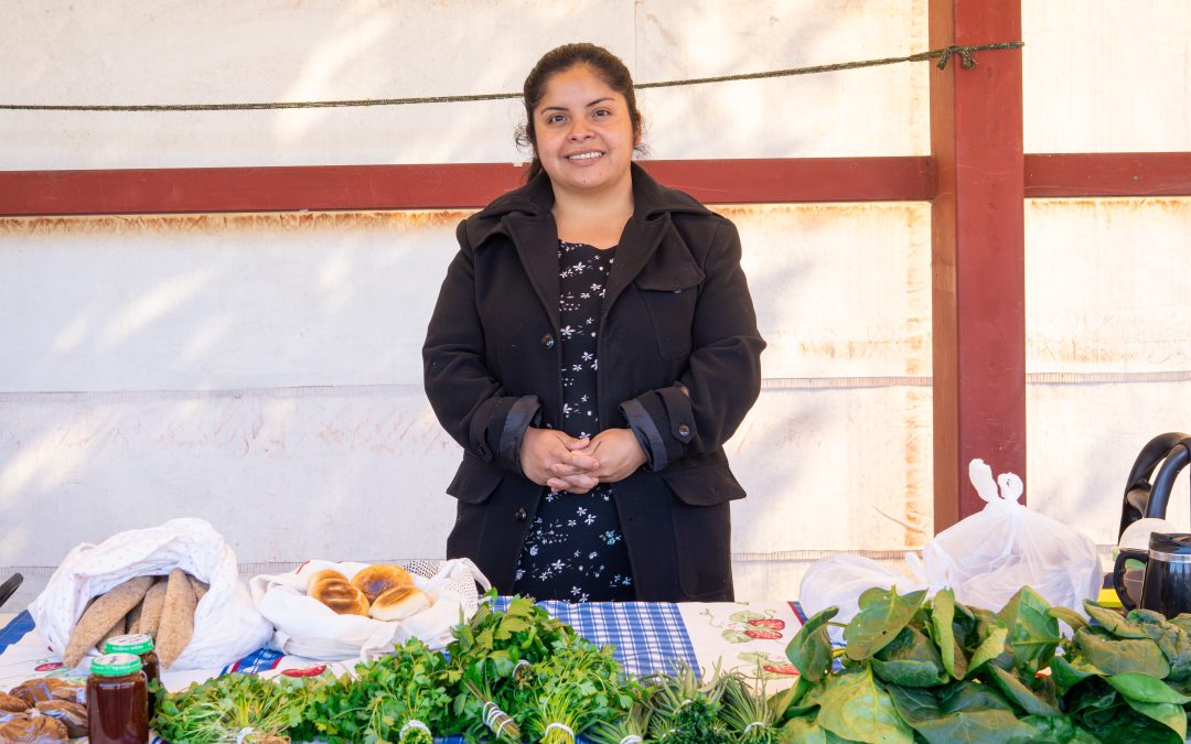 Feria “Mapun Zomo”: tradición, identidad y sabor rural en el corazón de Panguipulli