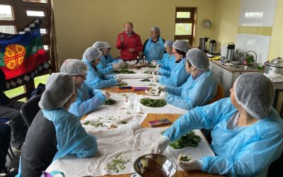 Sabiduría ancestral al servicio de la salud: municipio apoya producción de medicinas ancestrales en el CESFAM de Panguipulli