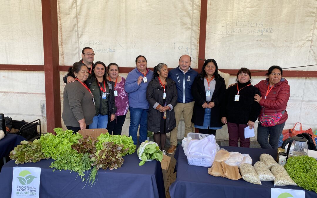 Alcalde Valdivia invita a conocer la feria Mapun Zomo, un encuentro semanal de identidad y producción local