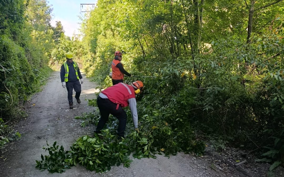 Departamento de Aseo y Ornato trabaja en el despeje de caminos en Tralcapulli Alto para mejorar la conectividad vecinal