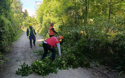 Departamento de Aseo y Ornato trabaja en el despeje de caminos en Tralcapulli Alto para mejorar la conectividad vecinal